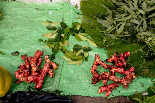 Gingembre rouge de Java - moulu- pot de 30 gr